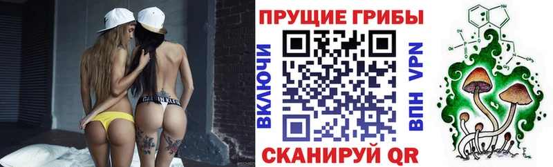 Псилоцибиновые грибы MAGIC MUSHROOMS как найти наркотики Аткарск